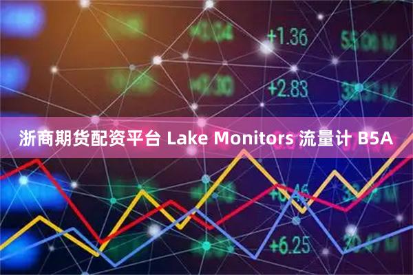 浙商期货配资平台 Lake Monitors 流量计 B5A